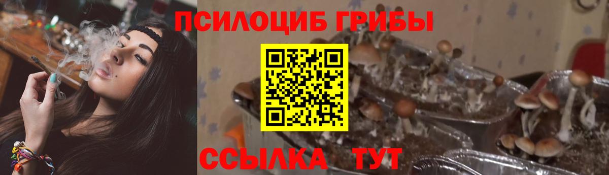 Галлюциногенные грибы GOLDEN TEACHER  Вход с VPN  Новочеркасск 
